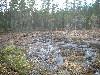2003_0517_porromoso.jpg